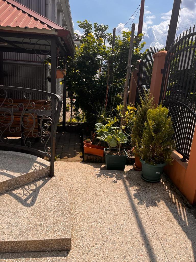 Guest House Chexovi 24 Kobuleti Exterior photo