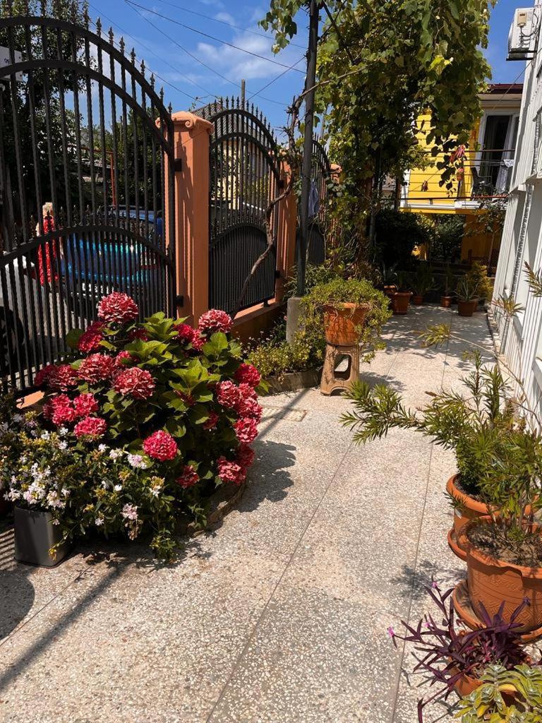 Guest House Chexovi 24 Kobuleti Exterior photo